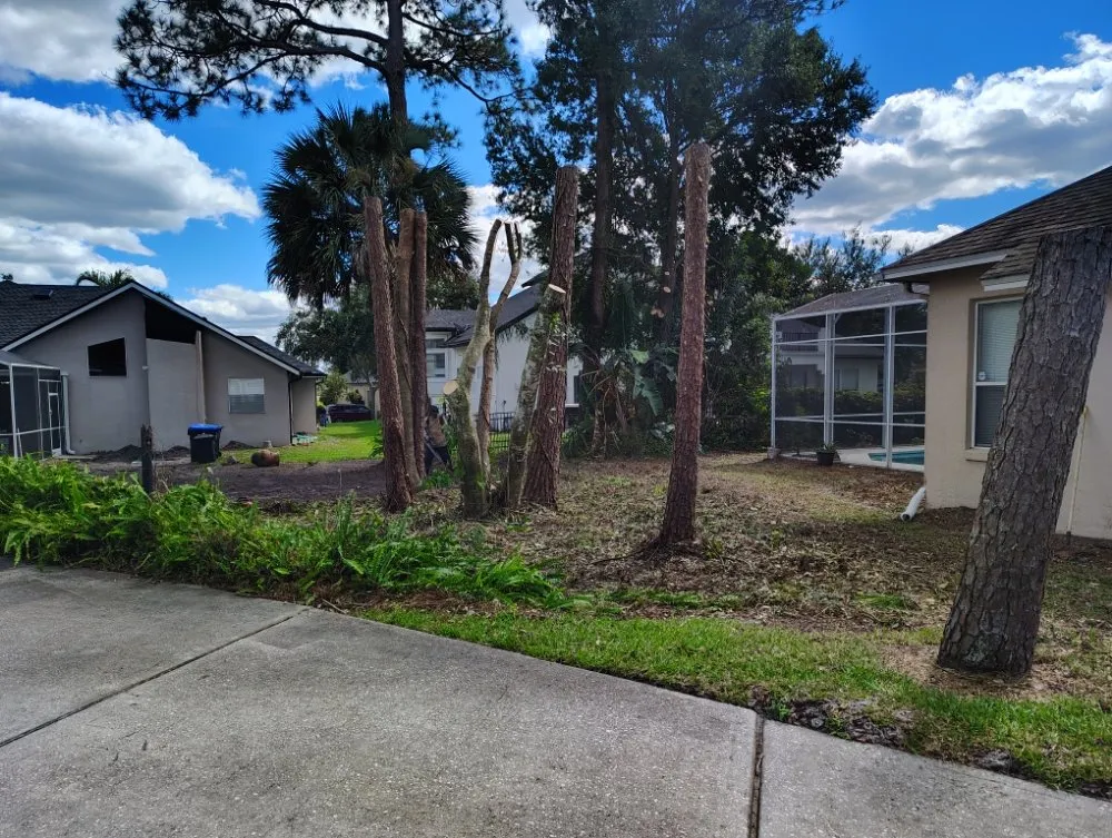 Local garden landscaping in Haines Creek, FL by Mayday Landscape And Tree Service