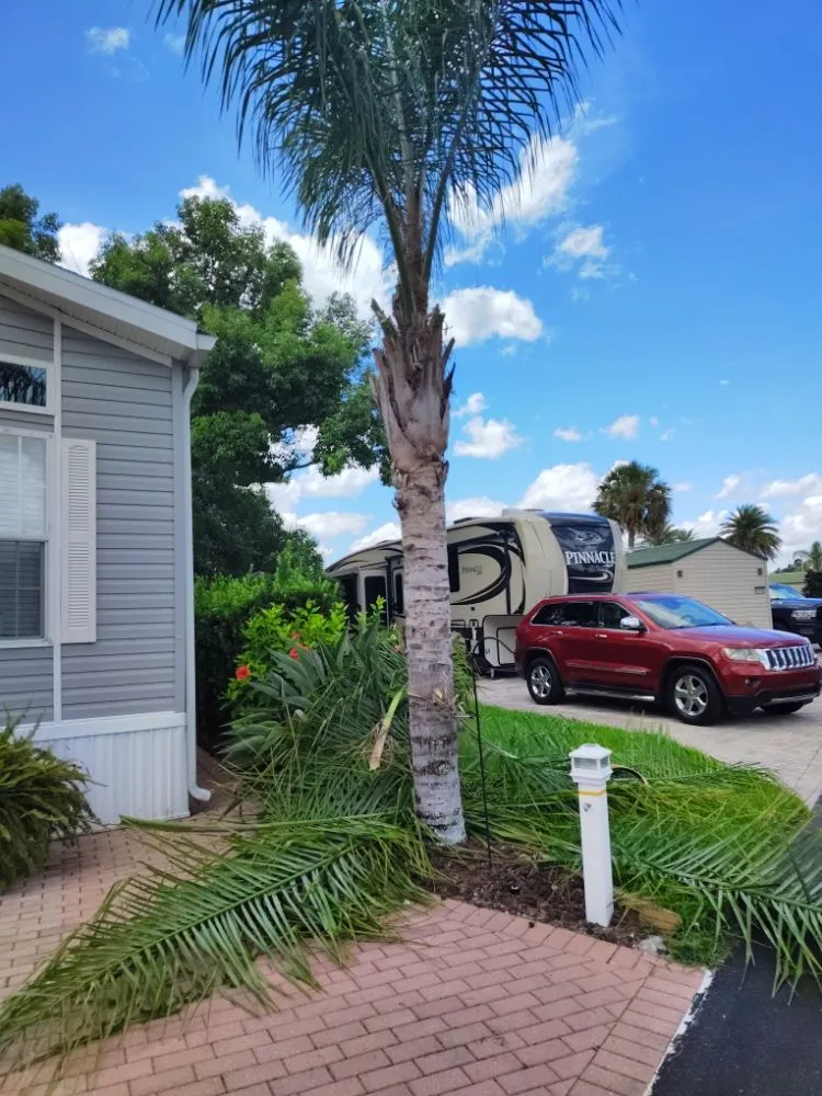 Expert yard maintenance in Haines Creek, FL by Mayday Landscape And Tree Service