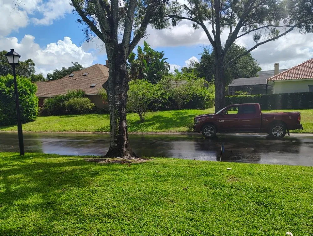 Affordable residential landscaping for outdoor upgrades across Haines Creek, FL - Mayday Landscape And Tree Service