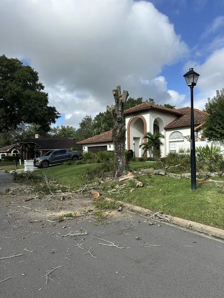 Local yard maintenance near you across Haines Creek, FL - Mayday Landscape And Tree Service