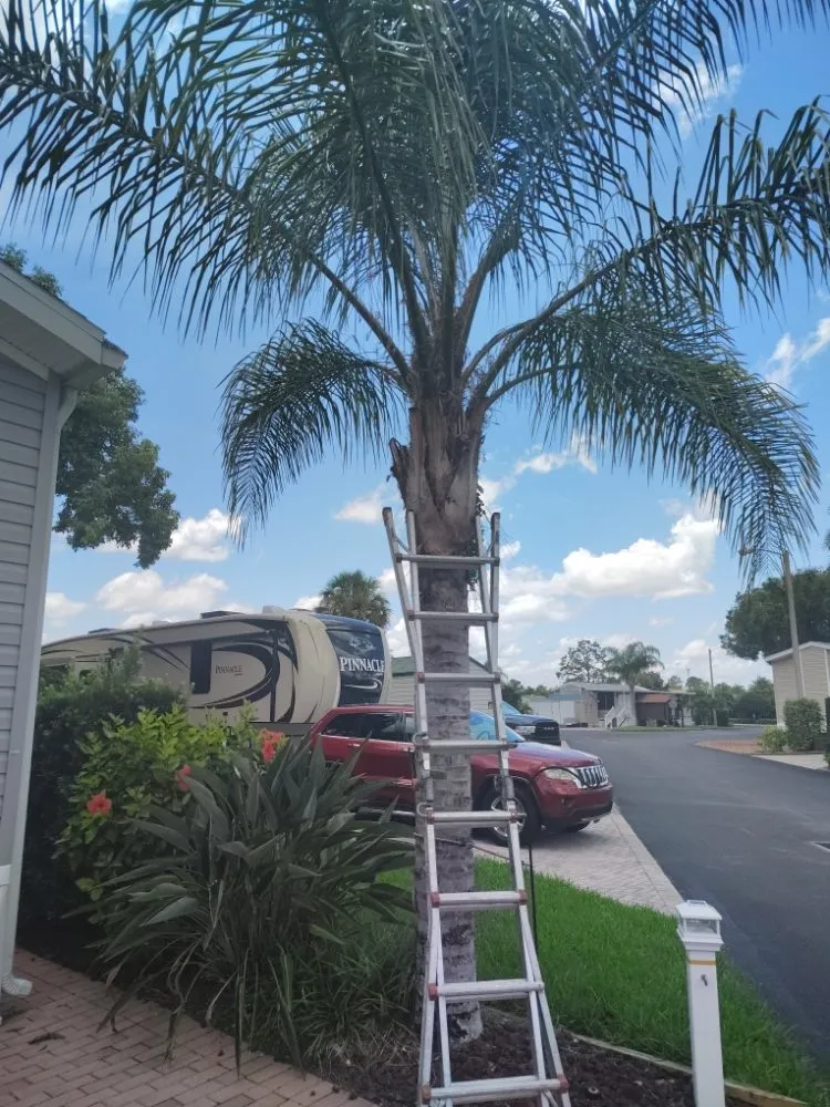 Custom garden landscaping in Haines Creek, FL by Mayday Landscape And Tree Service