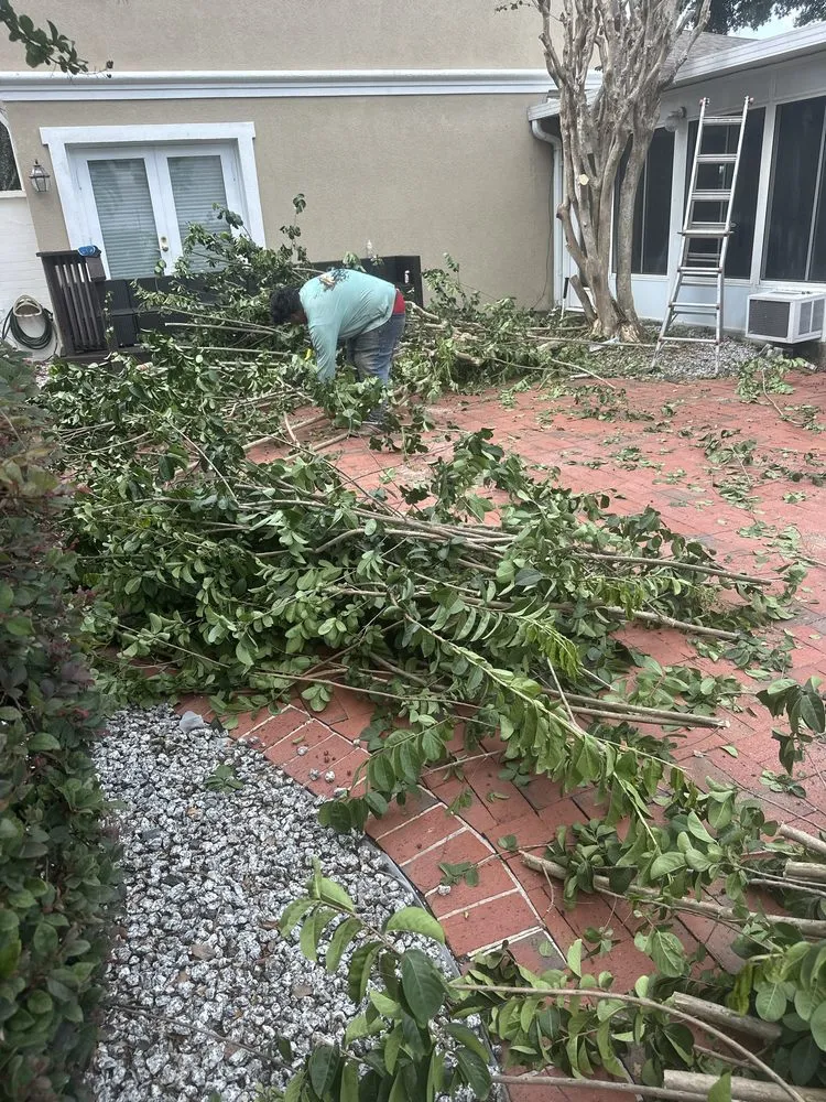 Professional landscape installation experts serving Haines Creek, FL - Mayday Landscape And Tree Service
