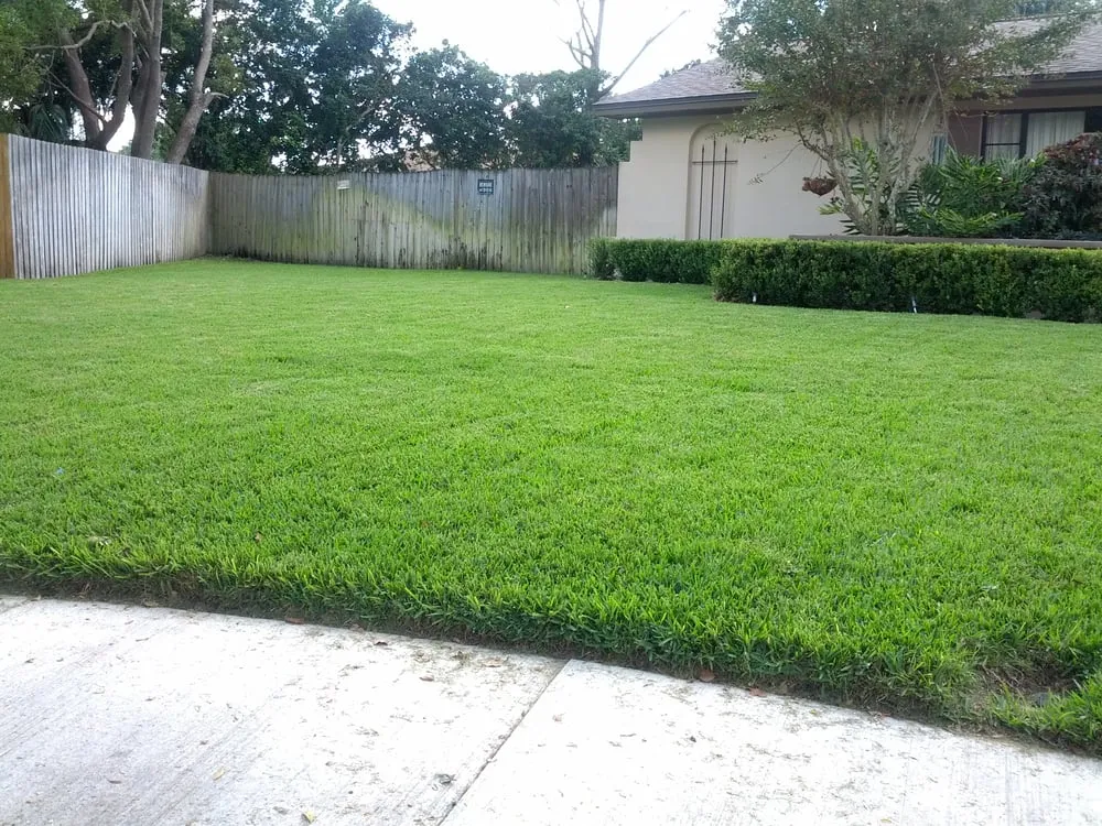 Expert landscaping services experts serving Winter Park, FL - Maydays Lawn Termite Pest