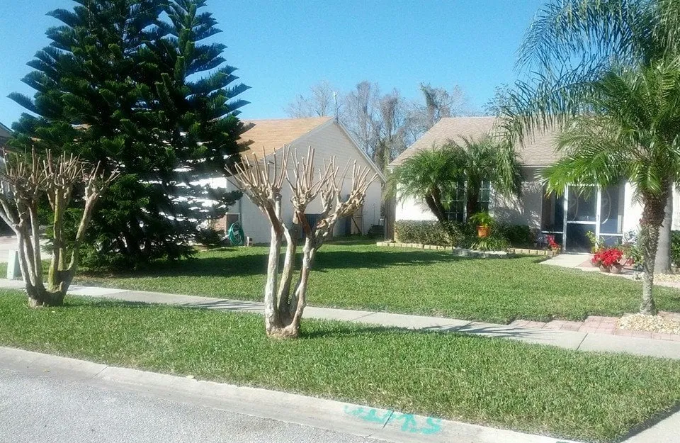 Custom residential landscaping experts serving Winter Park, FL - Maydays Lawn Termite Pest