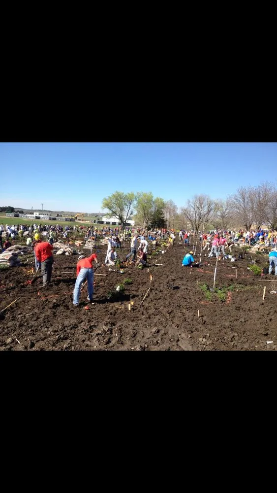 Reliable outdoor landscaping with custom design in Suwanee, GA by Mayer Landscape