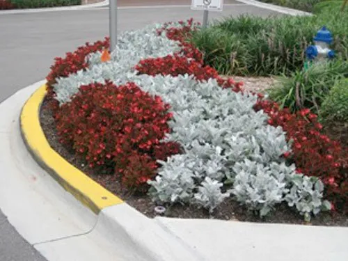 Top-rated landscape installation in Suwanee, GA - Mayer Landscape