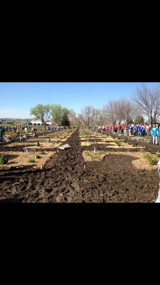 Top-rated residential landscaping for outdoor upgrades in Suwanee, GA by Mayer Landscape