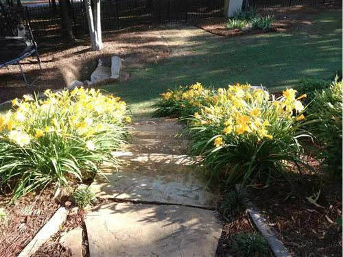 Affordable yard cleanup service experts serving Suwanee, GA - Mayer Landscape
