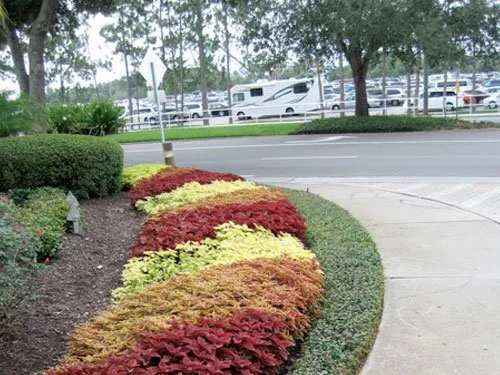 Expert garden landscaping experts serving Suwanee, GA - Mayer Landscape