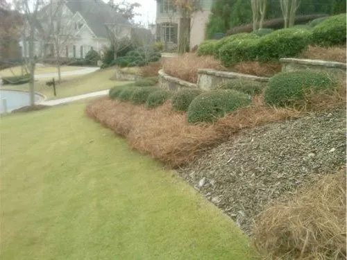 Professional outdoor landscaping with custom design in Suwanee, GA by Mayer Landscape