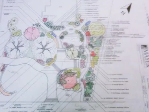 Custom yard cleanup service experts serving Suwanee, GA - Mayer Landscape