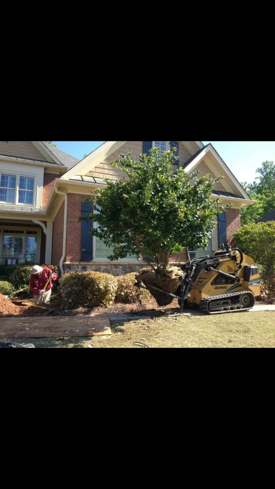Professional lawn care service in Suwanee, GA by Mayer Landscape