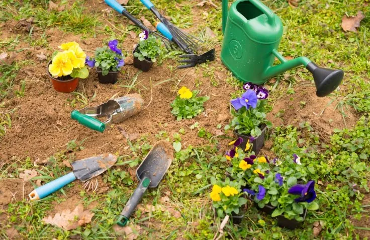 Reliable landscape design for outdoor upgrades across Amarillo, TX - Mayes & Sons Lawn Care