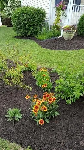 Professional yard cleanup service in Amarillo, TX - Mayes & Sons Lawn Care