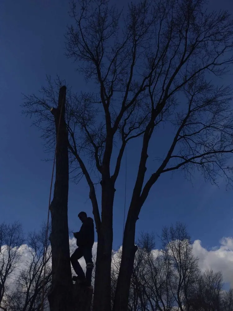 Local lawn mowing service with custom design in Dayton, OH by Mayes Lawn Care and Tree Service