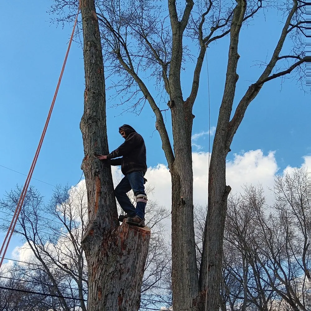 Affordable yard cleanup service for outdoor upgrades across Dayton, OH - Mayes Lawn Care and Tree Service
