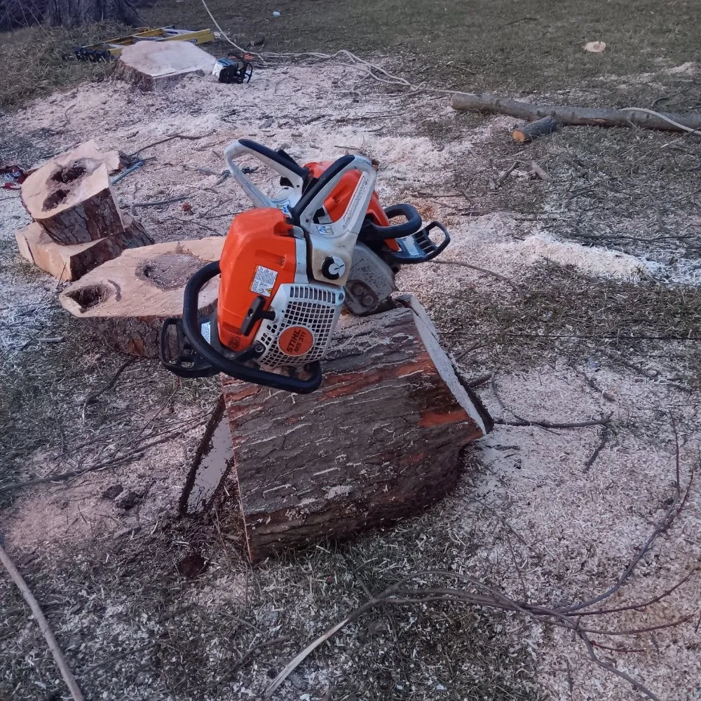 Top-rated yard maintenance experts serving Dayton, OH - Mayes Lawn Care and Tree Service