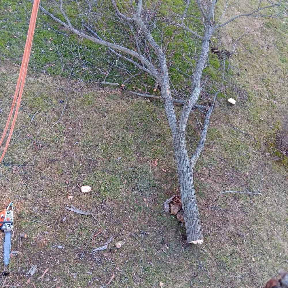 Expert landscaping services experts serving Dayton, OH - Mayes Lawn Care and Tree Service