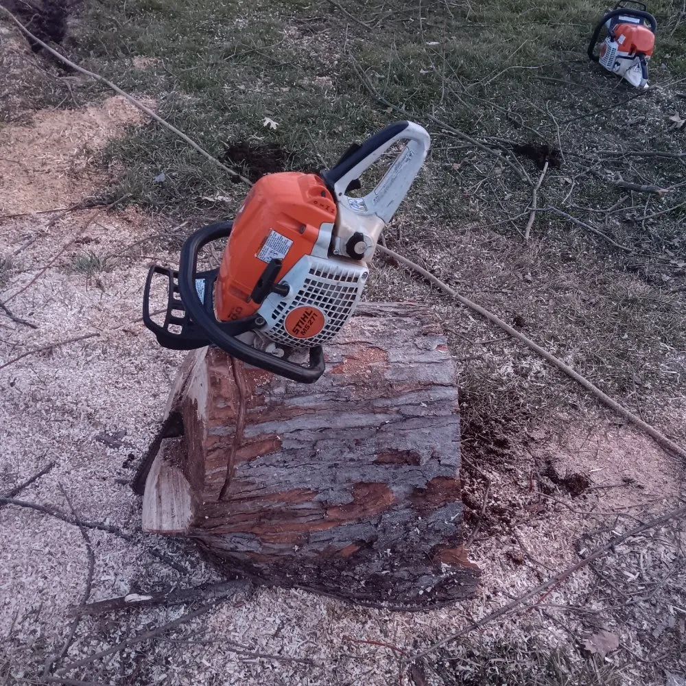 Trusted lawn care service experts serving Dayton, OH - Mayes Lawn Care and Tree Service