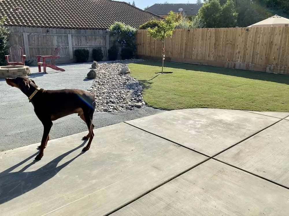 Professional outdoor landscaping experts serving Visalia, CA - Mayes&Son Landscape and Sprinkler Repair