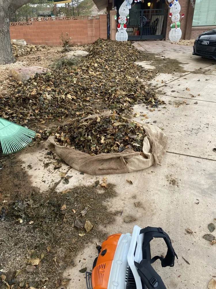Custom residential landscaping experts serving St George, UT - Mayfield Landscaping