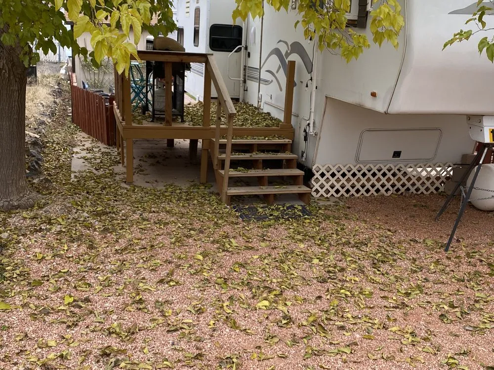 Expert landscaping services in St George, UT by Mayfield Landscaping