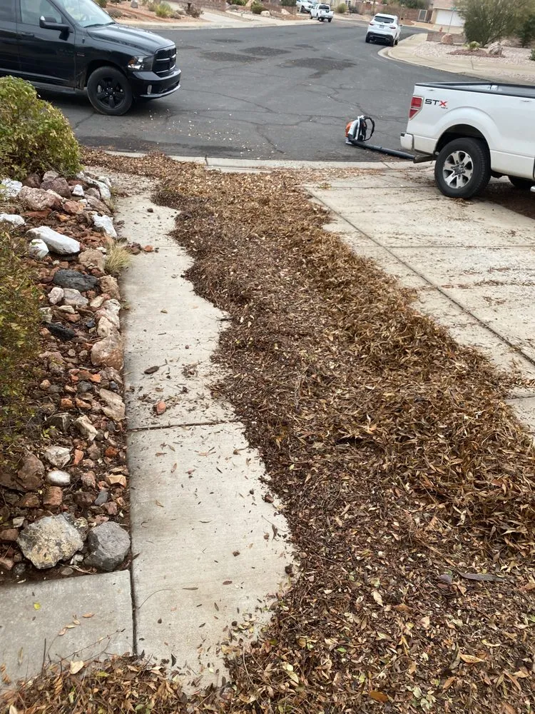 Custom landscape design in St George, UT by Mayfield Landscaping