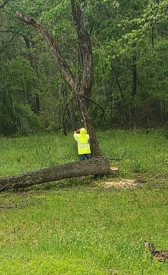 Expert landscape installation in Azle, TX by Mayfield's Tree Service