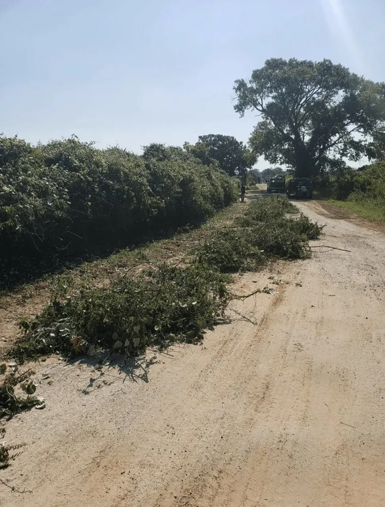 Affordable landscape installation for beautiful yards across Azle, TX - Mayfield's Tree Service