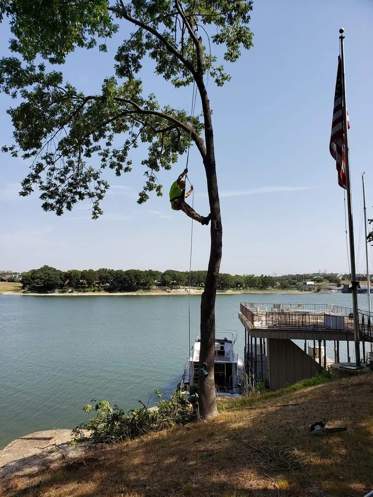 Reliable yard cleanup service experts serving Azle, TX - Mayfield's Tree Service