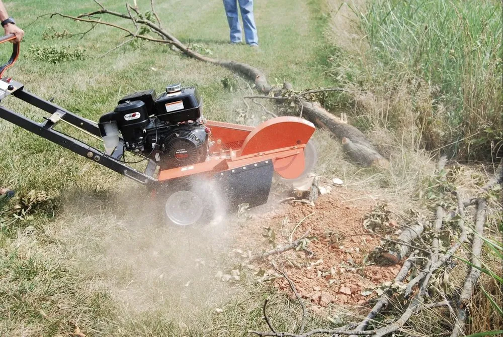 Custom landscaping services for outdoor upgrades across Azle, TX - Mayfield's Tree Service