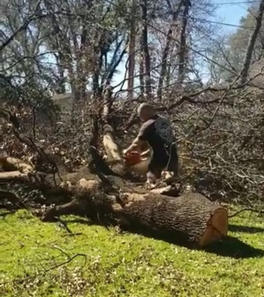 Professional residential landscaping for outdoor upgrades across Azle, TX - Mayfield's Tree Service