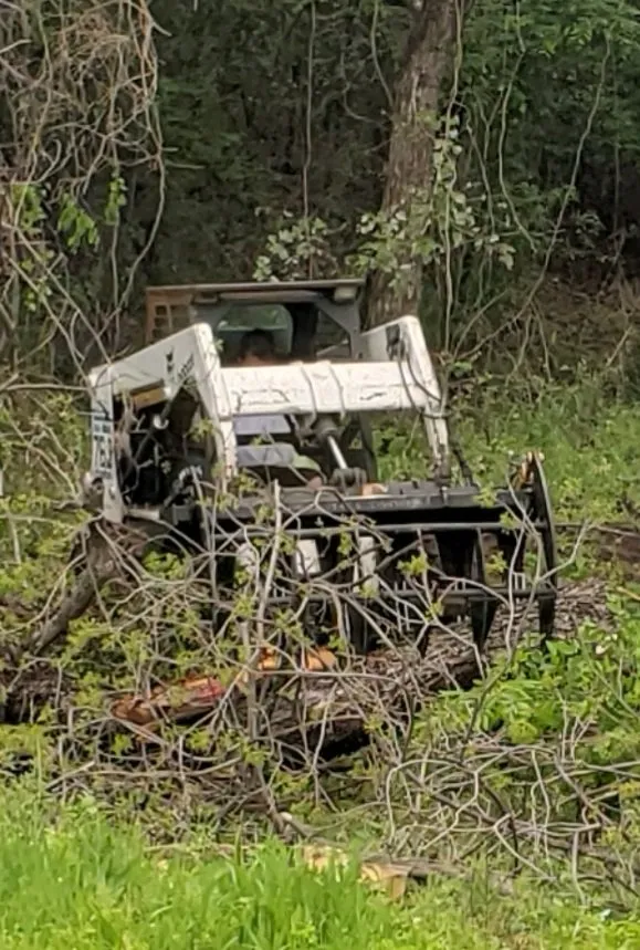 Trusted lawn mowing service experts serving Azle, TX - Mayfield's Tree Service