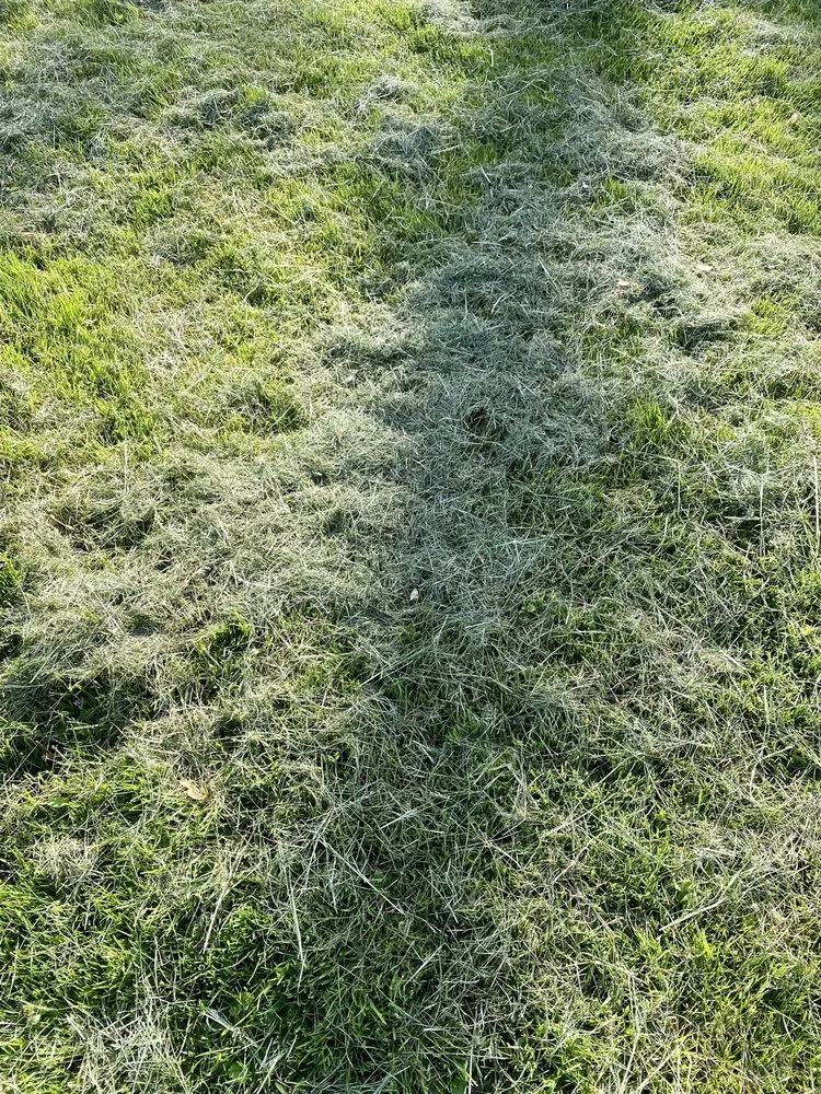 Trusted yard maintenance near you across Chagrin Falls, OH - Mayflower Landscaping