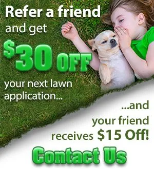 Top-rated residential landscaping for beautiful yards across Chagrin Falls, OH - Mayflower Landscaping