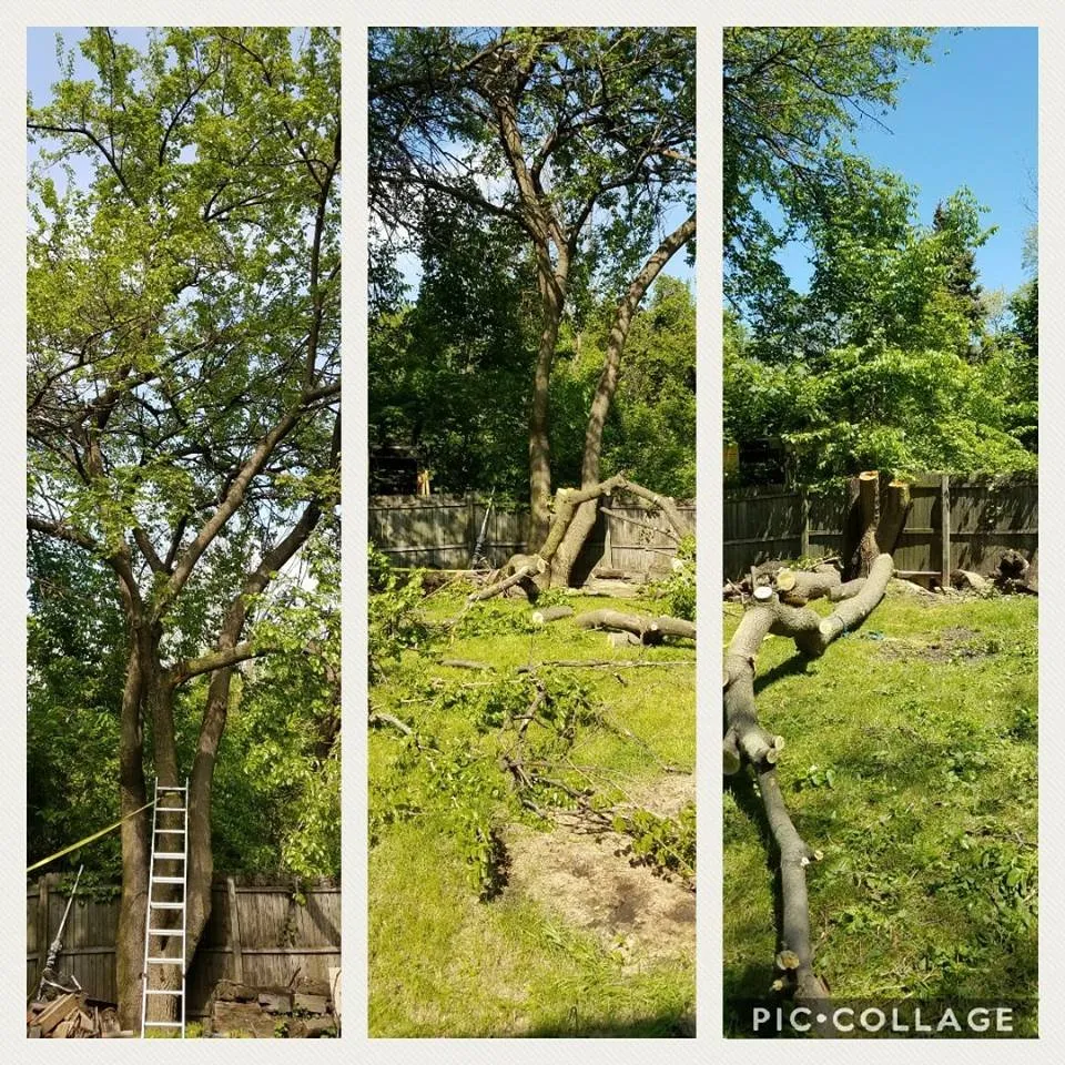 Reliable landscape design for beautiful yards in Chagrin Falls, OH by Mayflower Landscaping