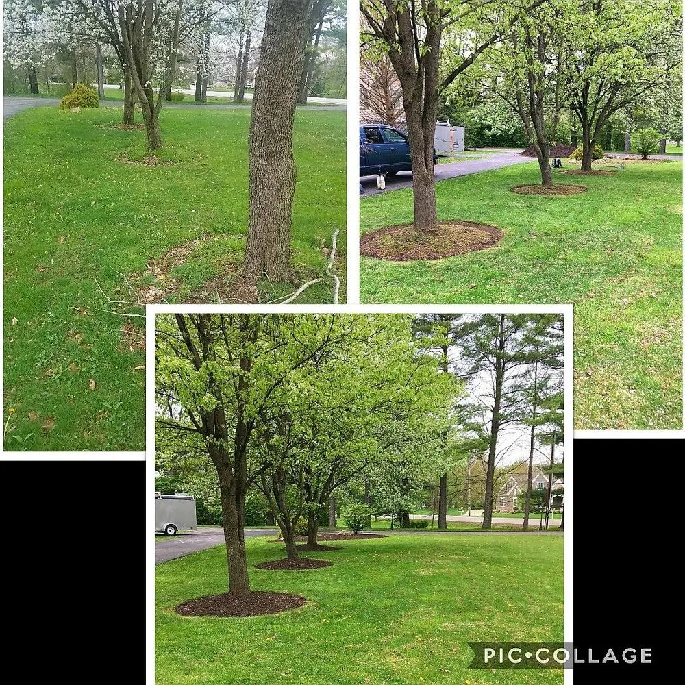 Top-rated landscape design for residential properties across Chagrin Falls, OH - Mayflower Landscaping