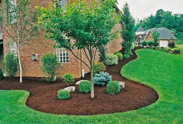 Mayflower Landscaping Logo