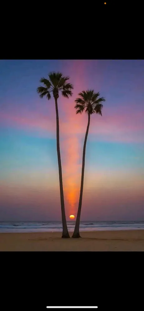 Top-rated landscape installation in Elkton, MD - Mayhem Mulching