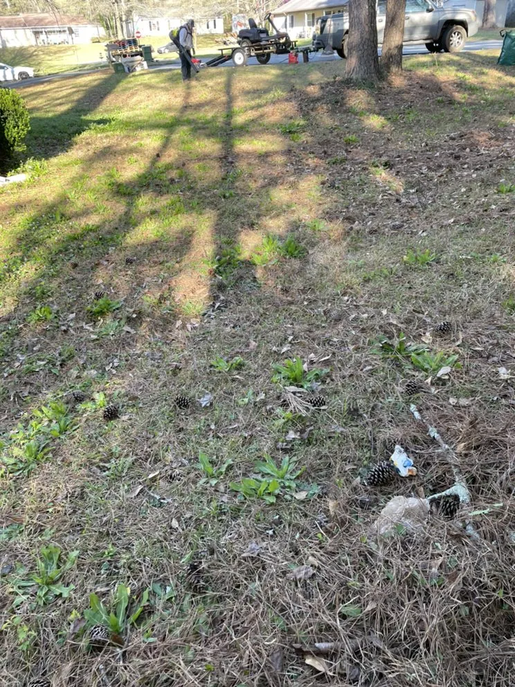 Local lawn mowing service for outdoor upgrades across Monroe, GA - Mayhew LawnCare