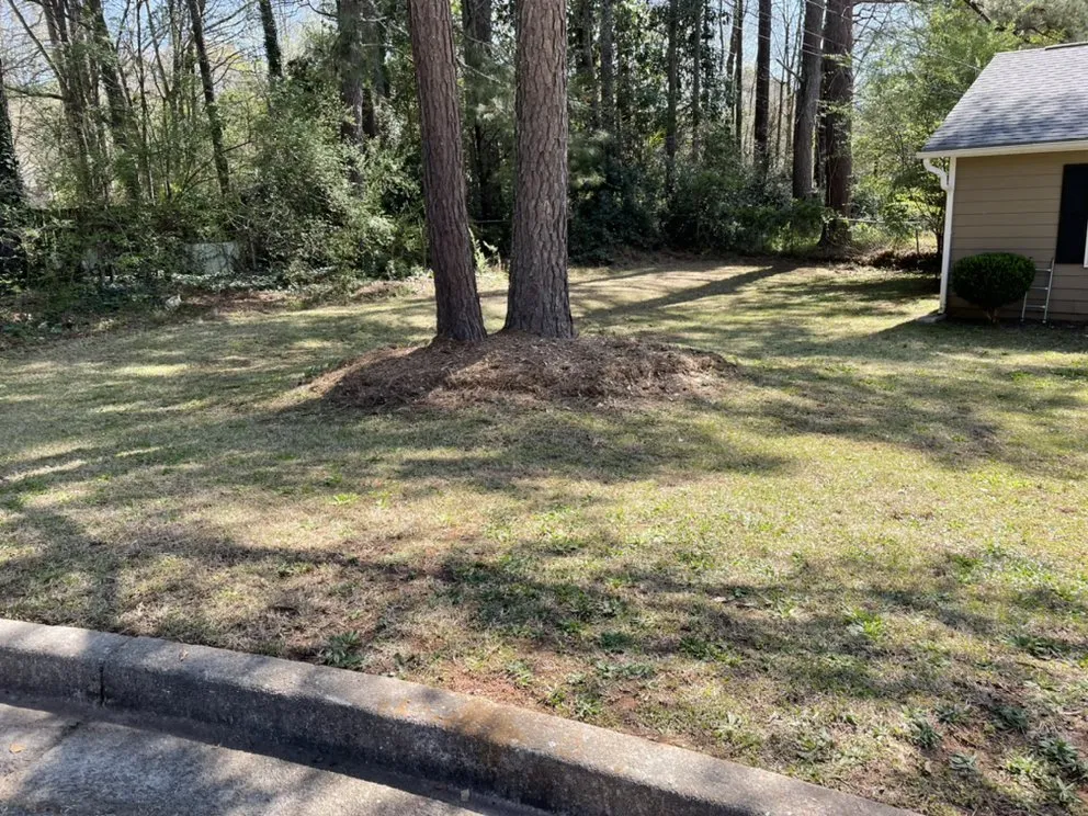 Top-rated lawn care service in Monroe, GA by Mayhew LawnCare