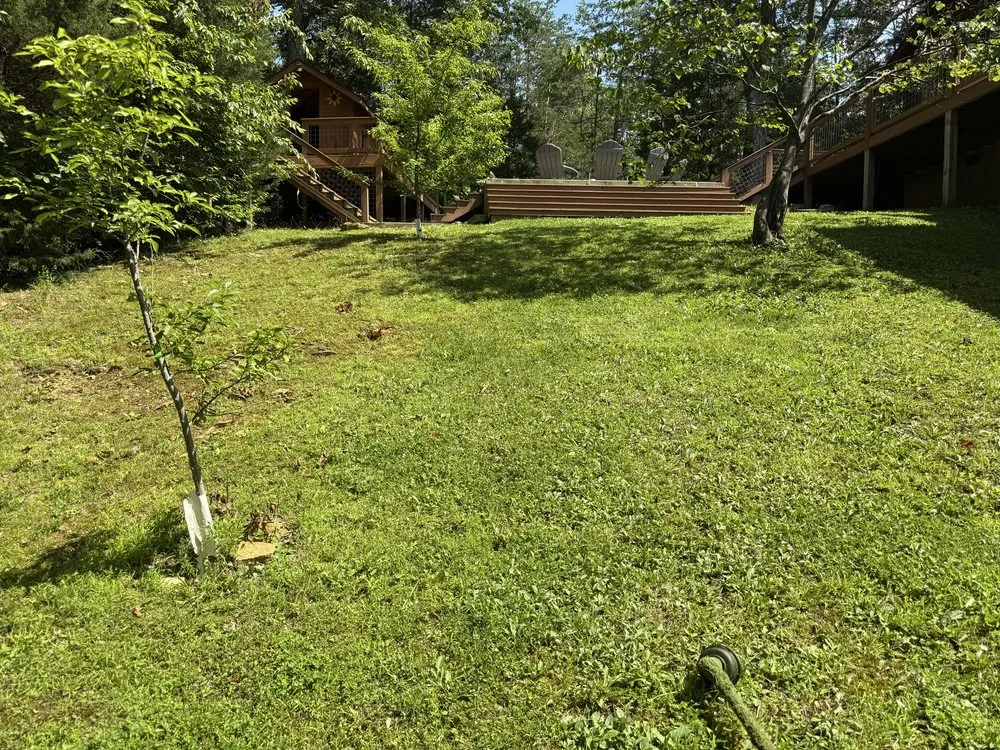 Expert landscaping services in Rutledge, TN by Mayhews Lawncare