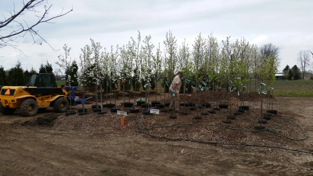 Affordable landscape installation for homes across Fowlerville, MI - Mayhew's Tree Farm & Nursery