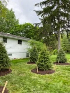 Affordable residential landscaping near you across Fowlerville, MI - Mayhew's Tree Farm & Nursery