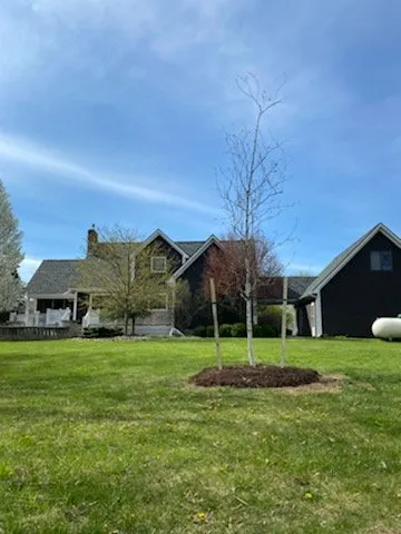 Trusted landscaping services in Fowlerville, MI - Mayhew's Tree Farm & Nursery