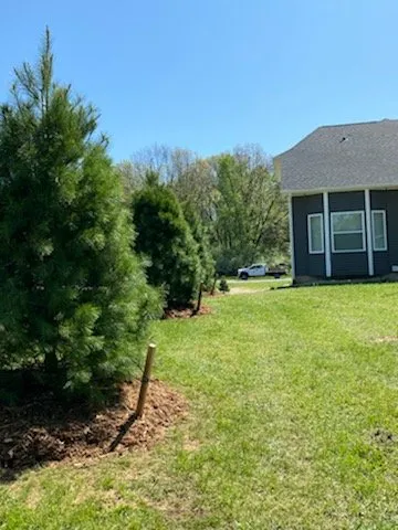 Reliable yard cleanup service experts serving Fowlerville, MI - Mayhew's Tree Farm & Nursery