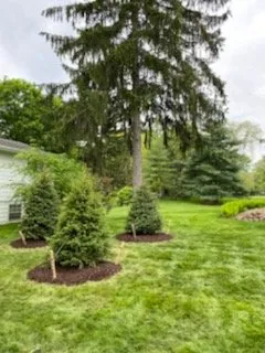 Trusted landscape installation experts serving Fowlerville, MI - Mayhew's Tree Farm & Nursery