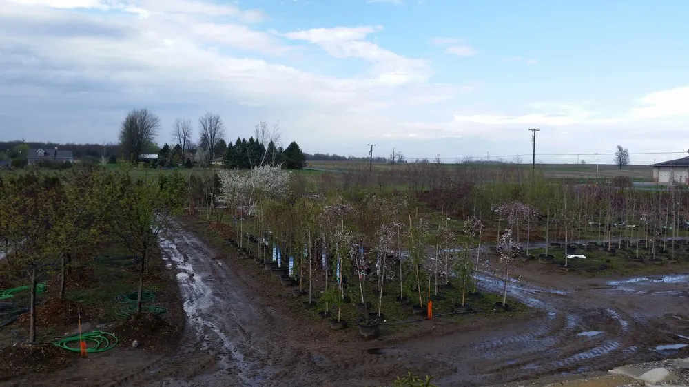 Local outdoor landscaping experts serving Fowlerville, MI - Mayhew's Tree Farm & Nursery