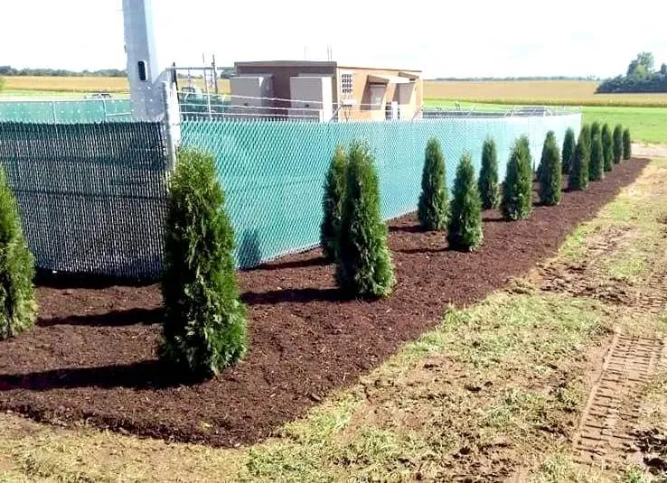 Expert lawn mowing service experts serving Fowlerville, MI - Mayhew's Tree Farm & Nursery