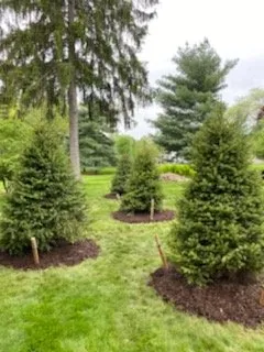 Top-rated landscape design for outdoor upgrades across Fowlerville, MI - Mayhew's Tree Farm & Nursery